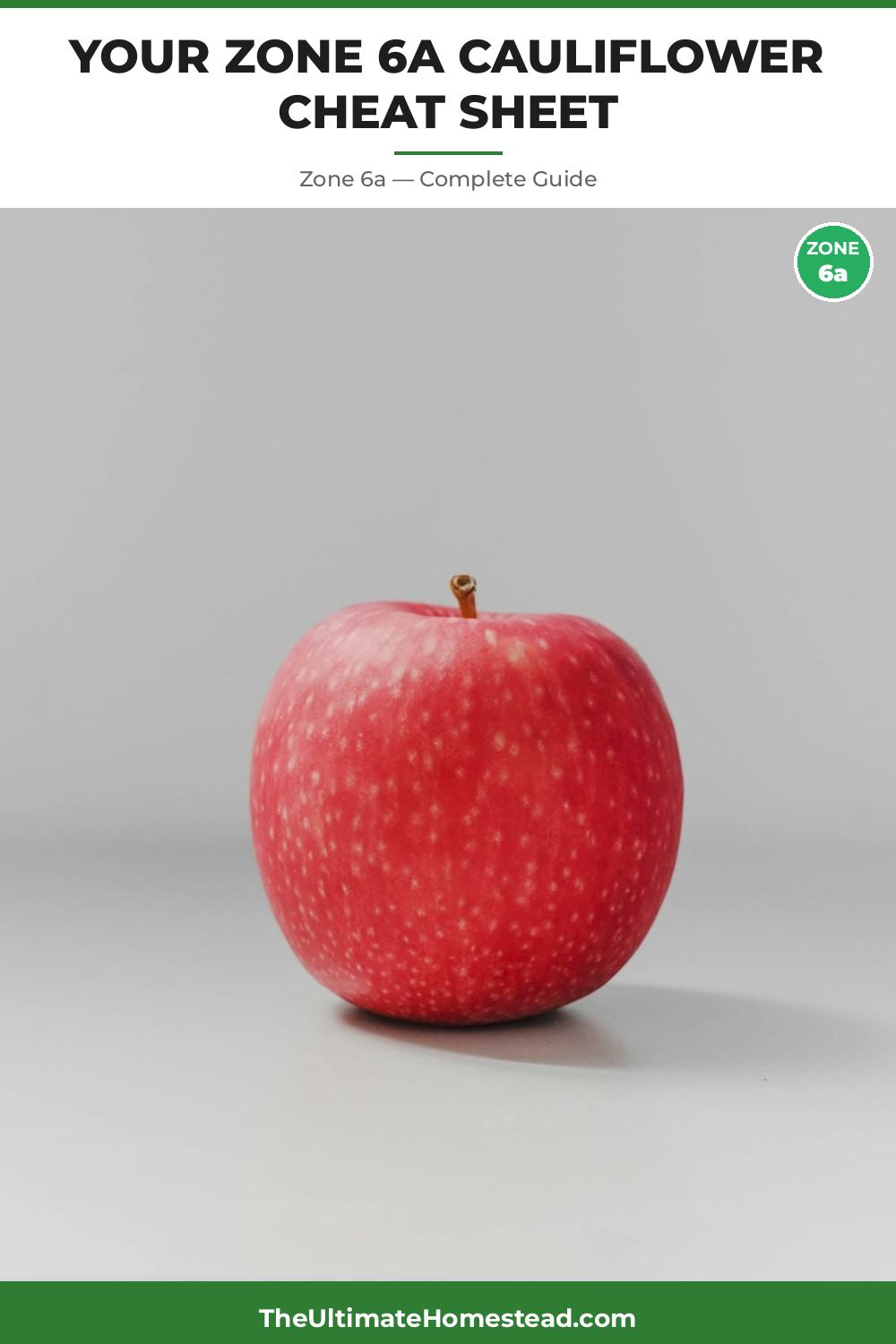 When to Plant Cauliflower in Zone 6a