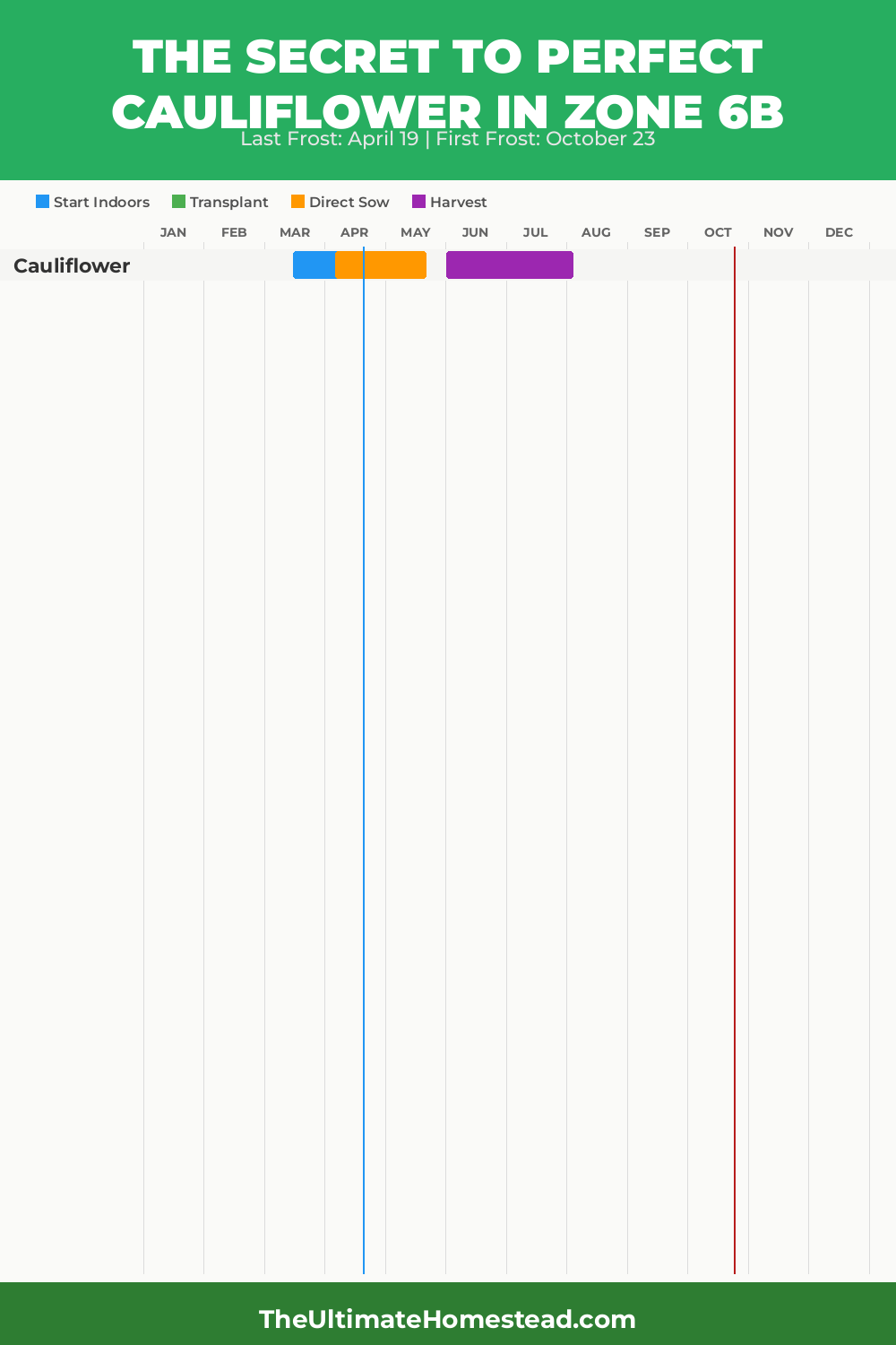 When to Plant Cauliflower in Zone 6b