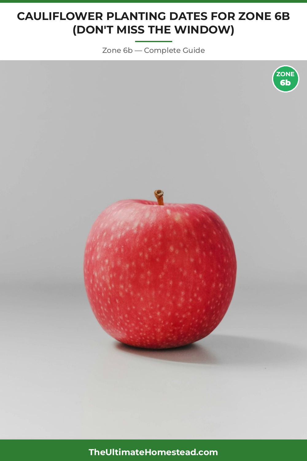 When to Plant Cauliflower in Zone 6b