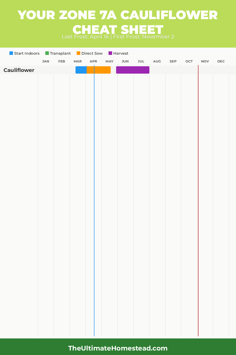When to Plant Cauliflower in Zone 7a