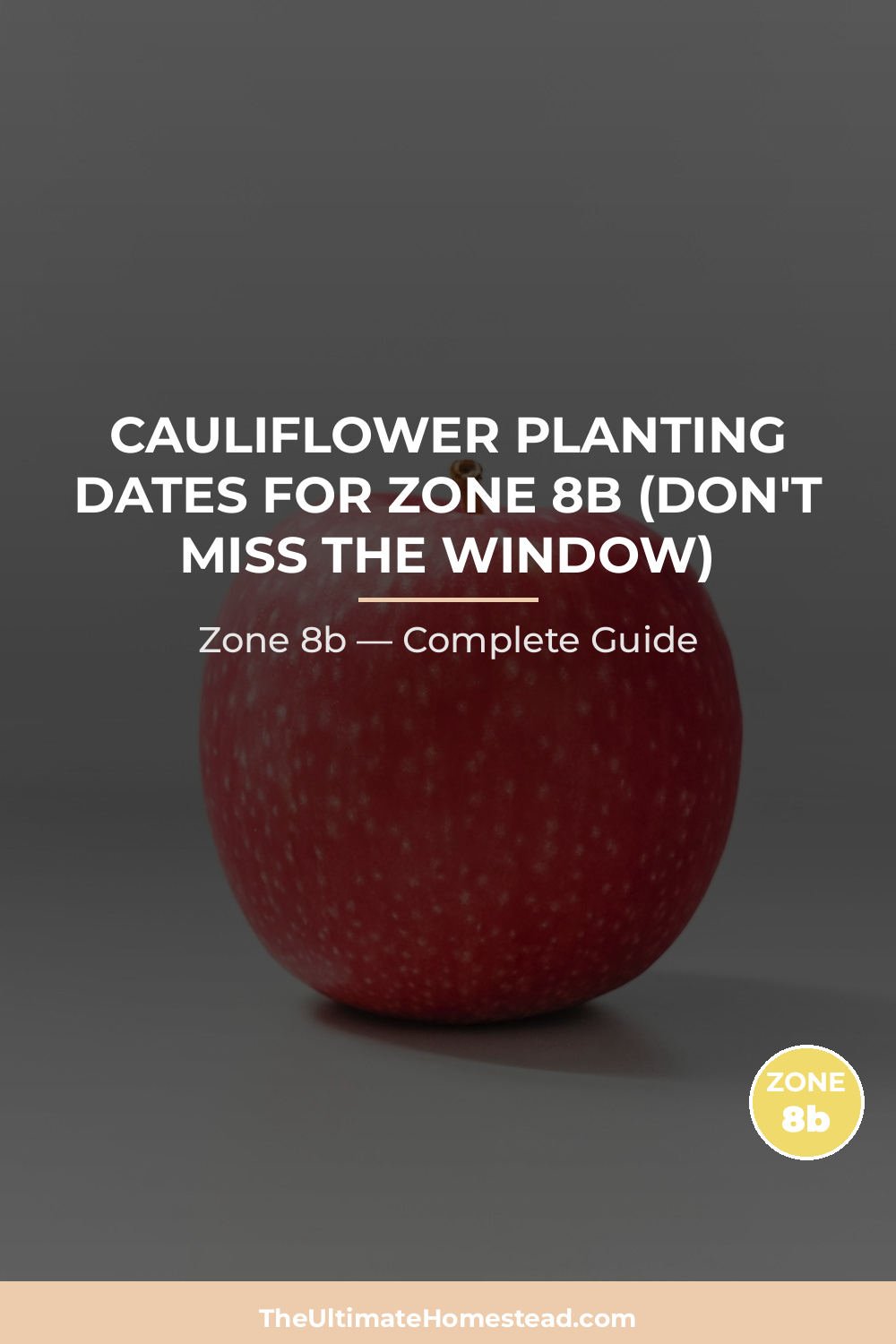 When to Plant Cauliflower in Zone 8b