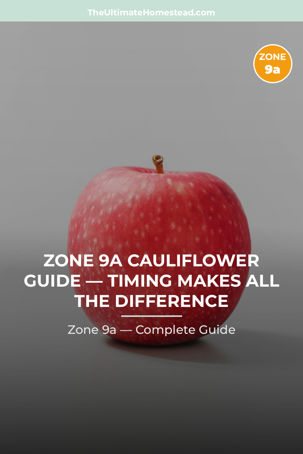 When to Plant Cauliflower in Zone 9a
