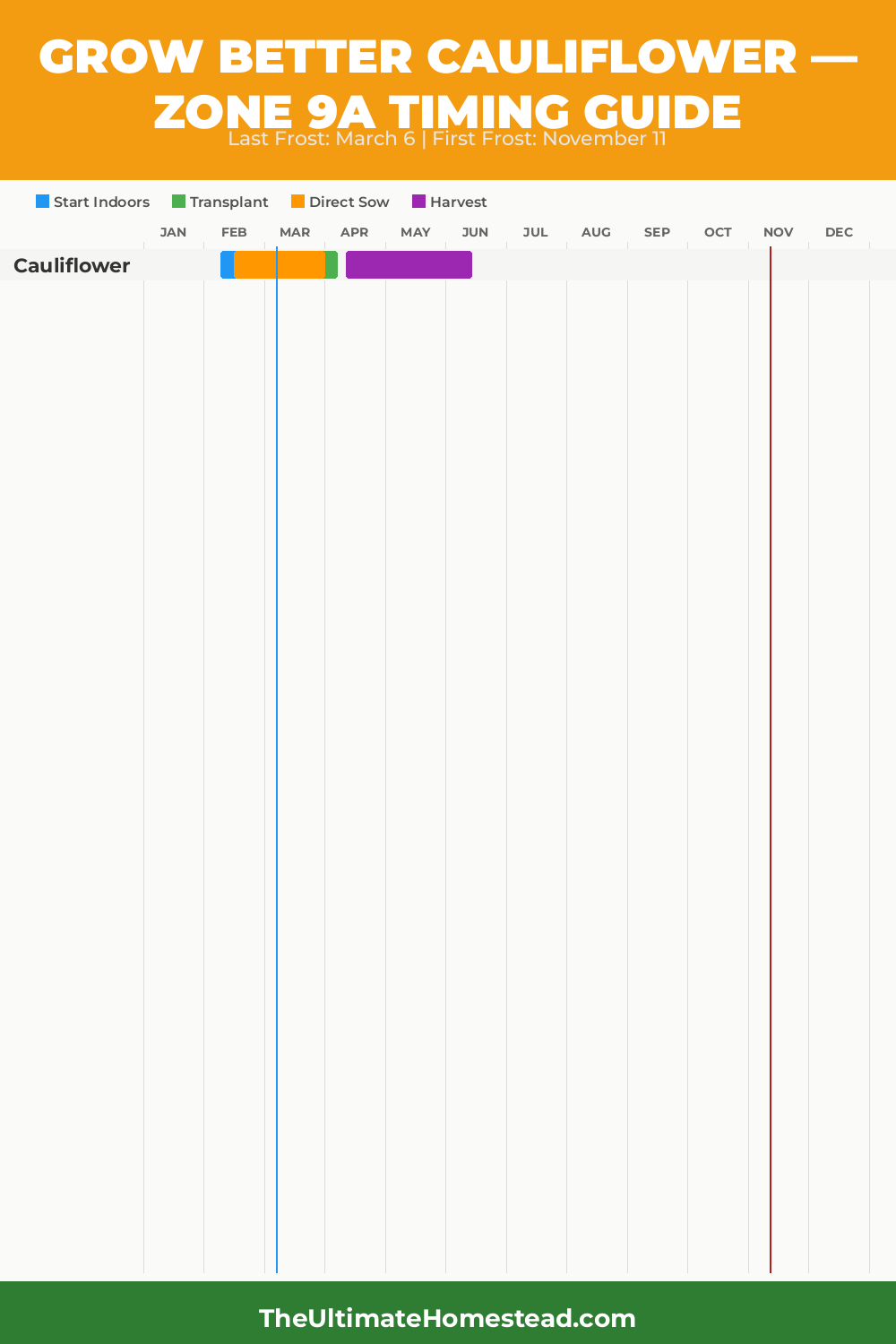 When to Plant Cauliflower in Zone 9a