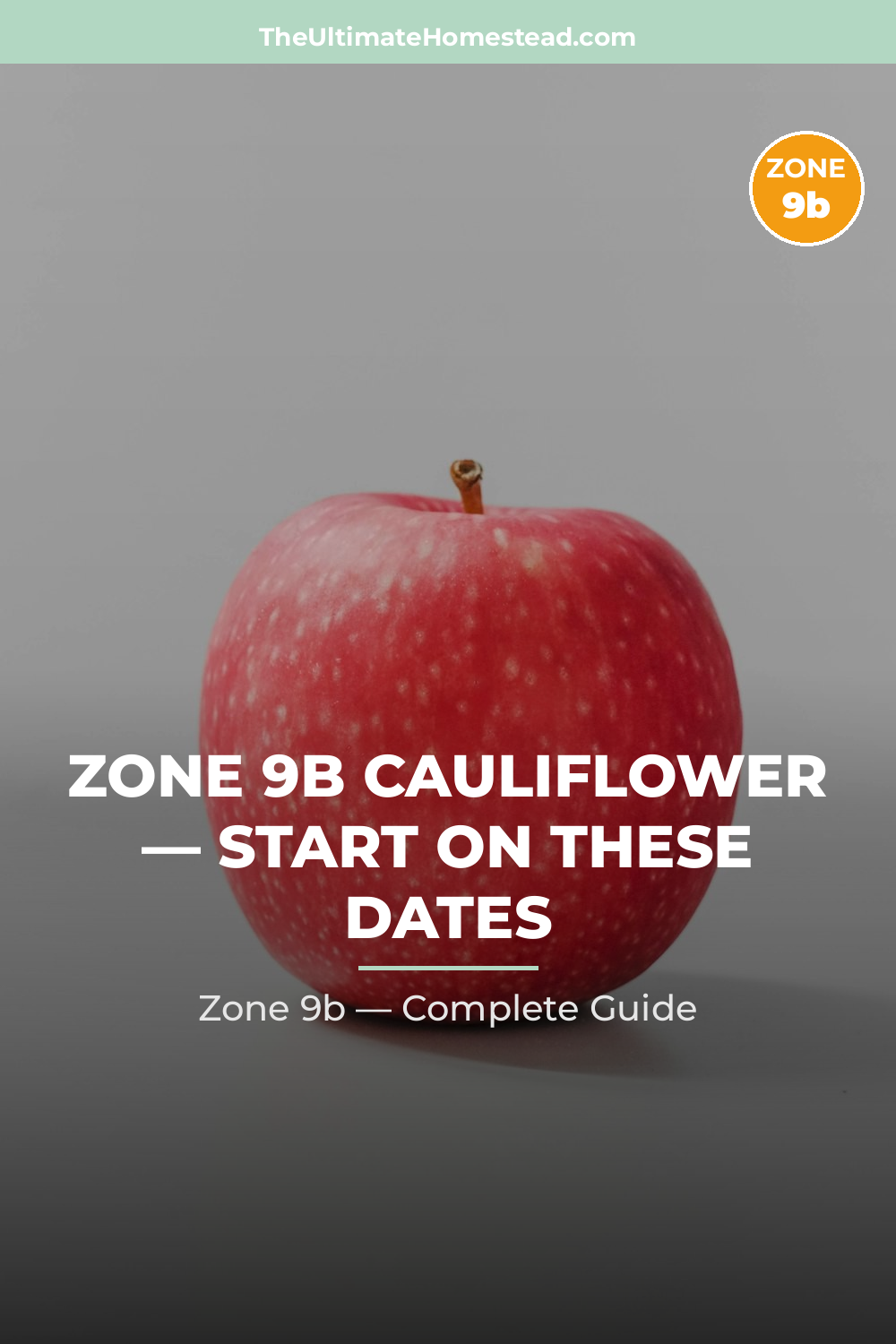 When to Plant Cauliflower in Zone 9b