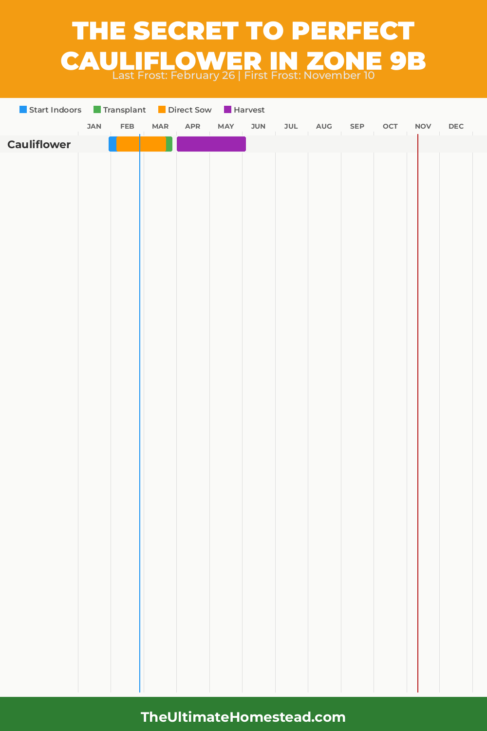 When to Plant Cauliflower in Zone 9b
