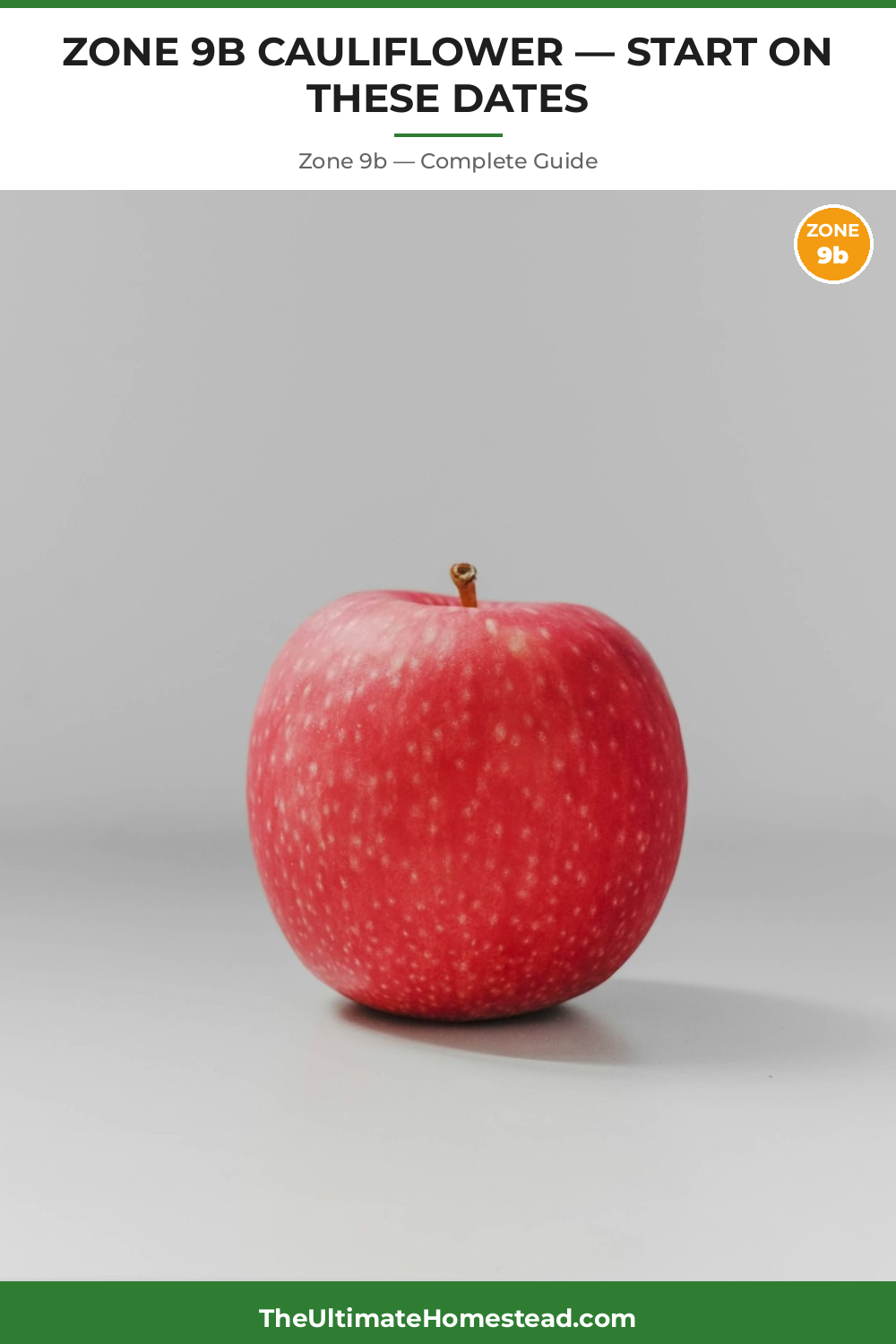 When to Plant Cauliflower in Zone 9b