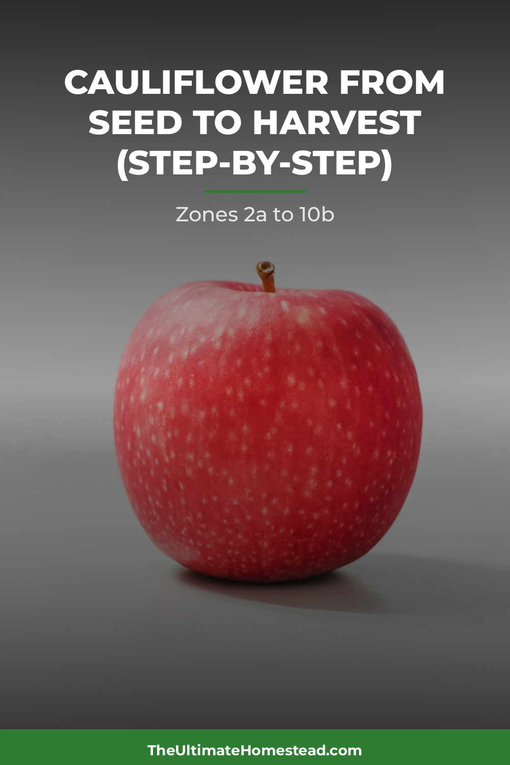 Cauliflower Planting Guide