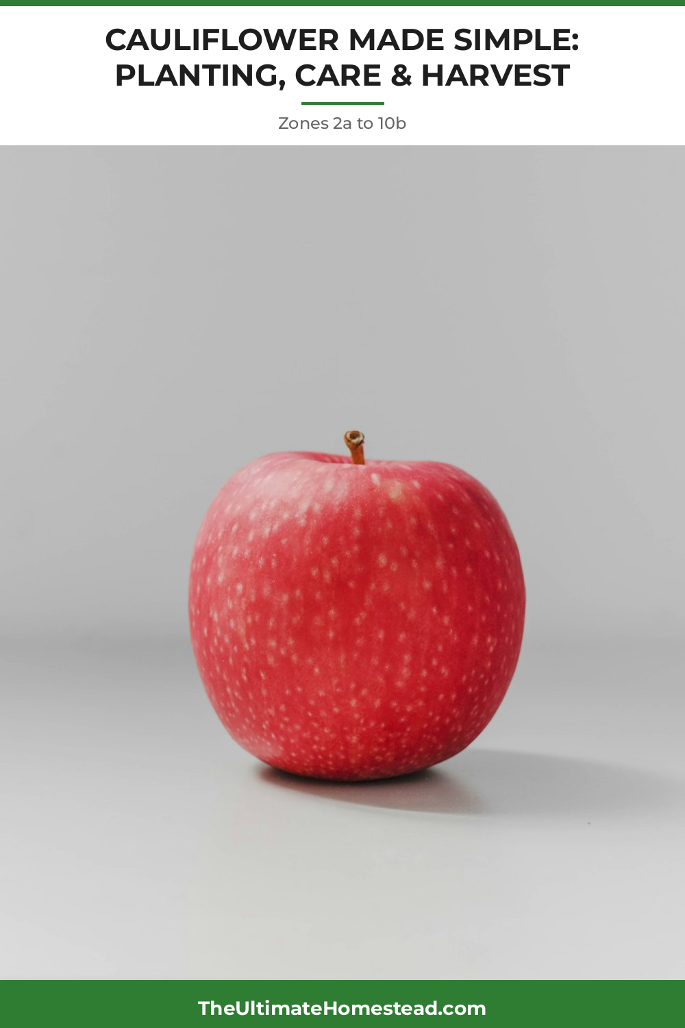 Cauliflower Planting Guide