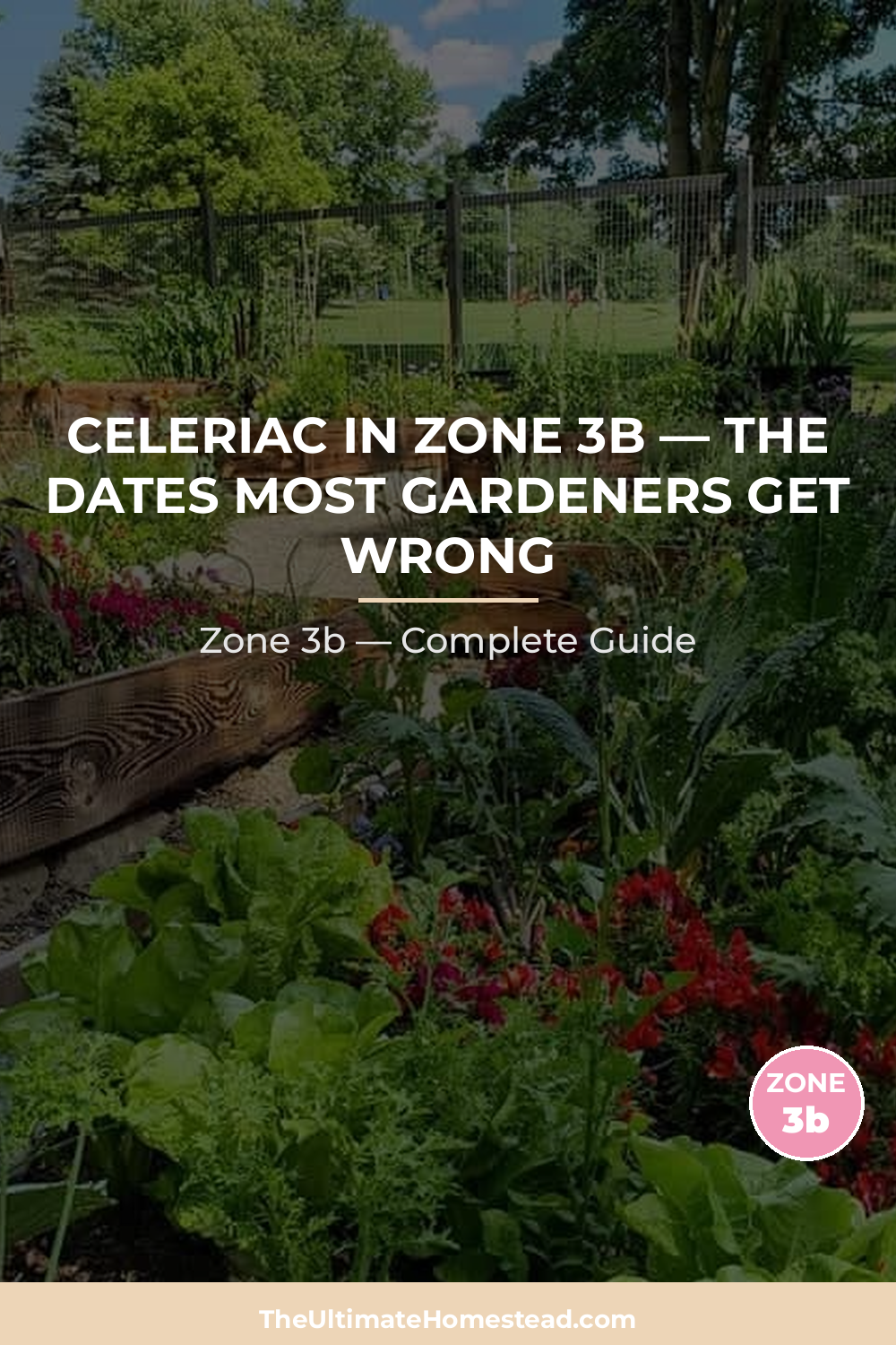 When to Plant Celeriac in Zone 3b