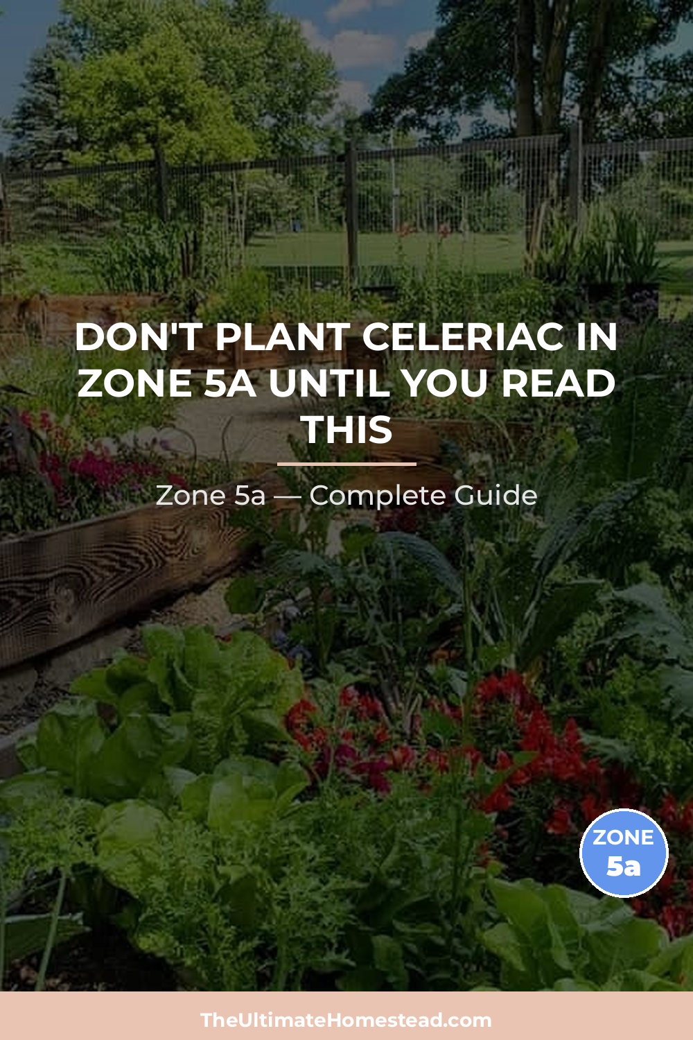 When to Plant Celeriac in Zone 5a