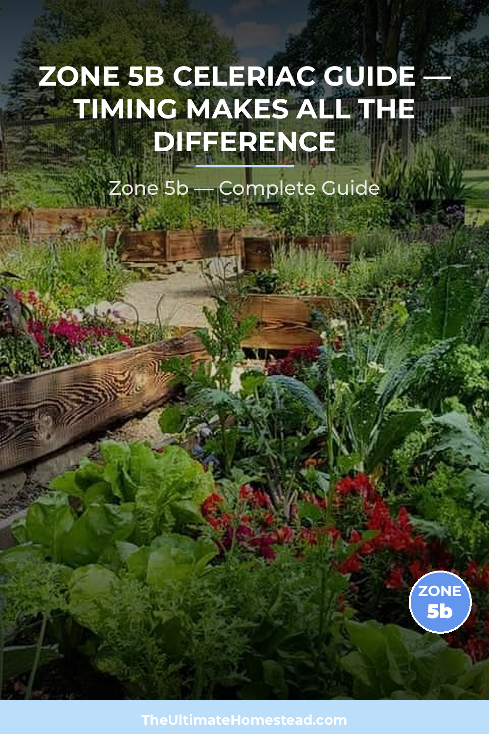 When to Plant Celeriac in Zone 5b