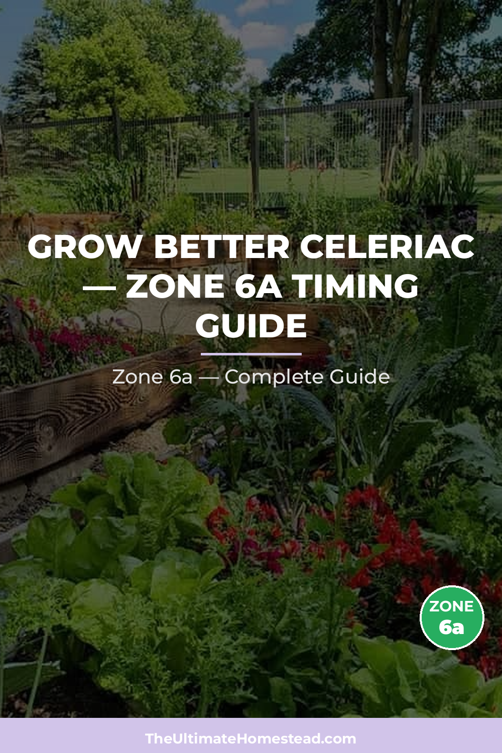 When to Plant Celeriac in Zone 6a