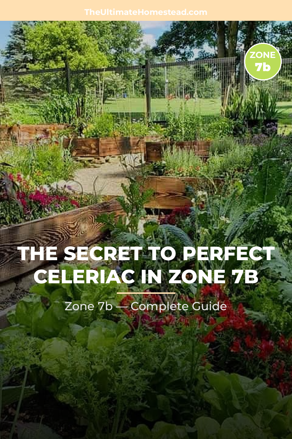 When to Plant Celeriac in Zone 7b