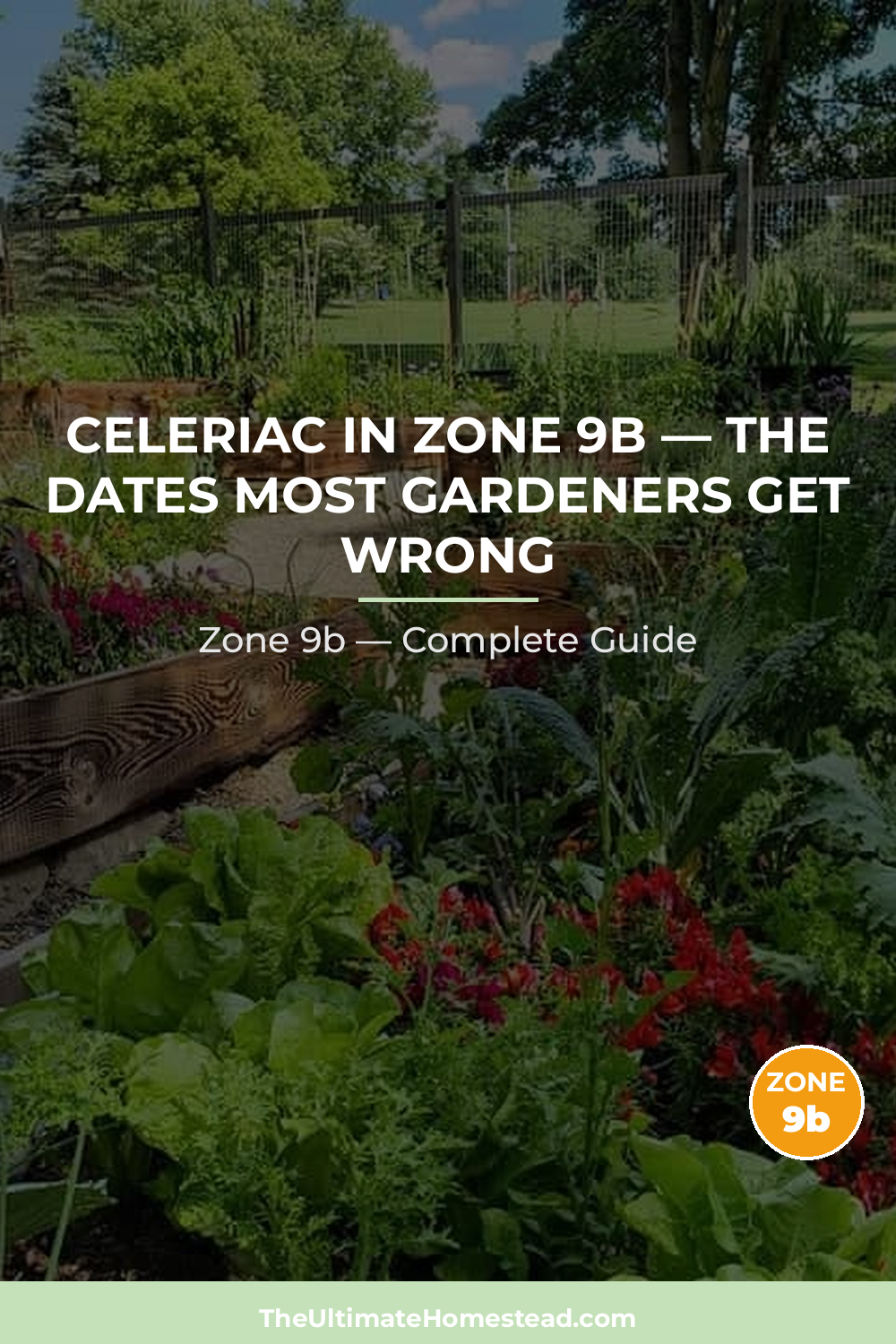 When to Plant Celeriac in Zone 9b