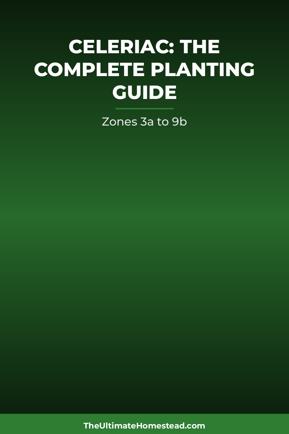 Celeriac Planting Guide
