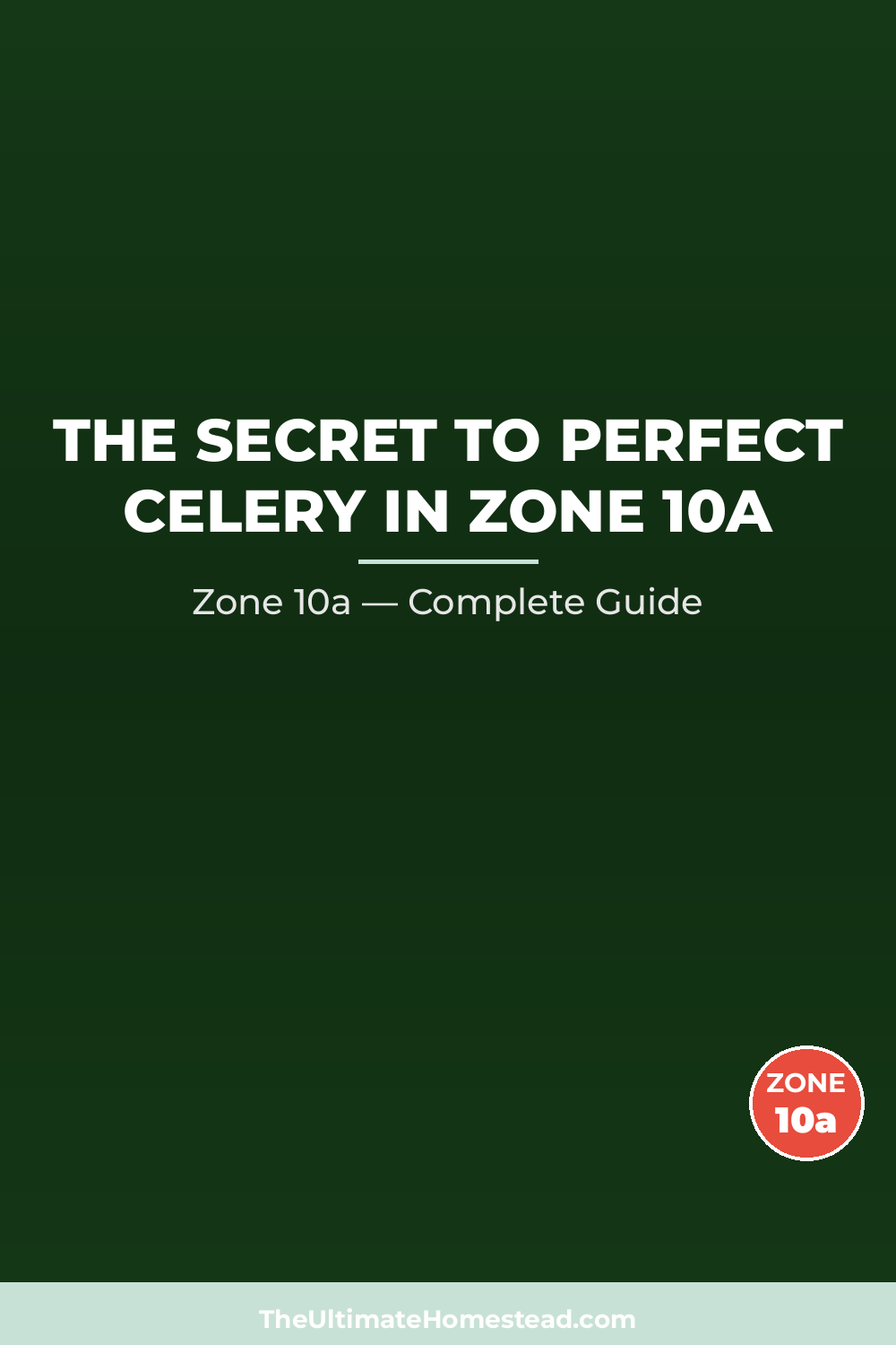 When to Plant Celery in Zone 10a