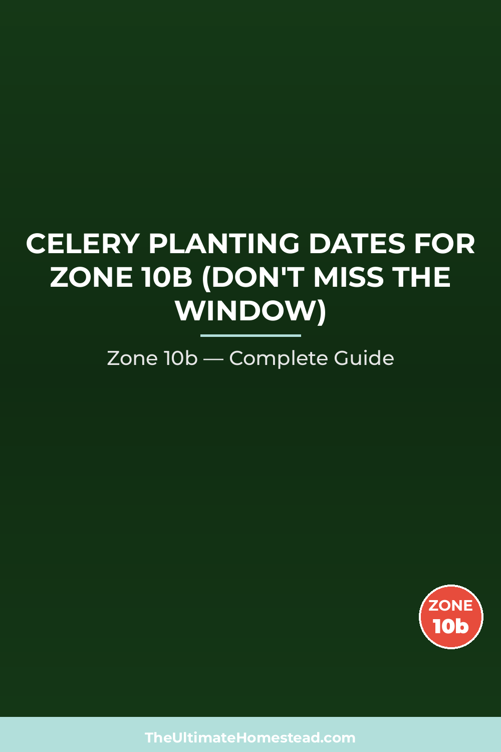 When to Plant Celery in Zone 10b