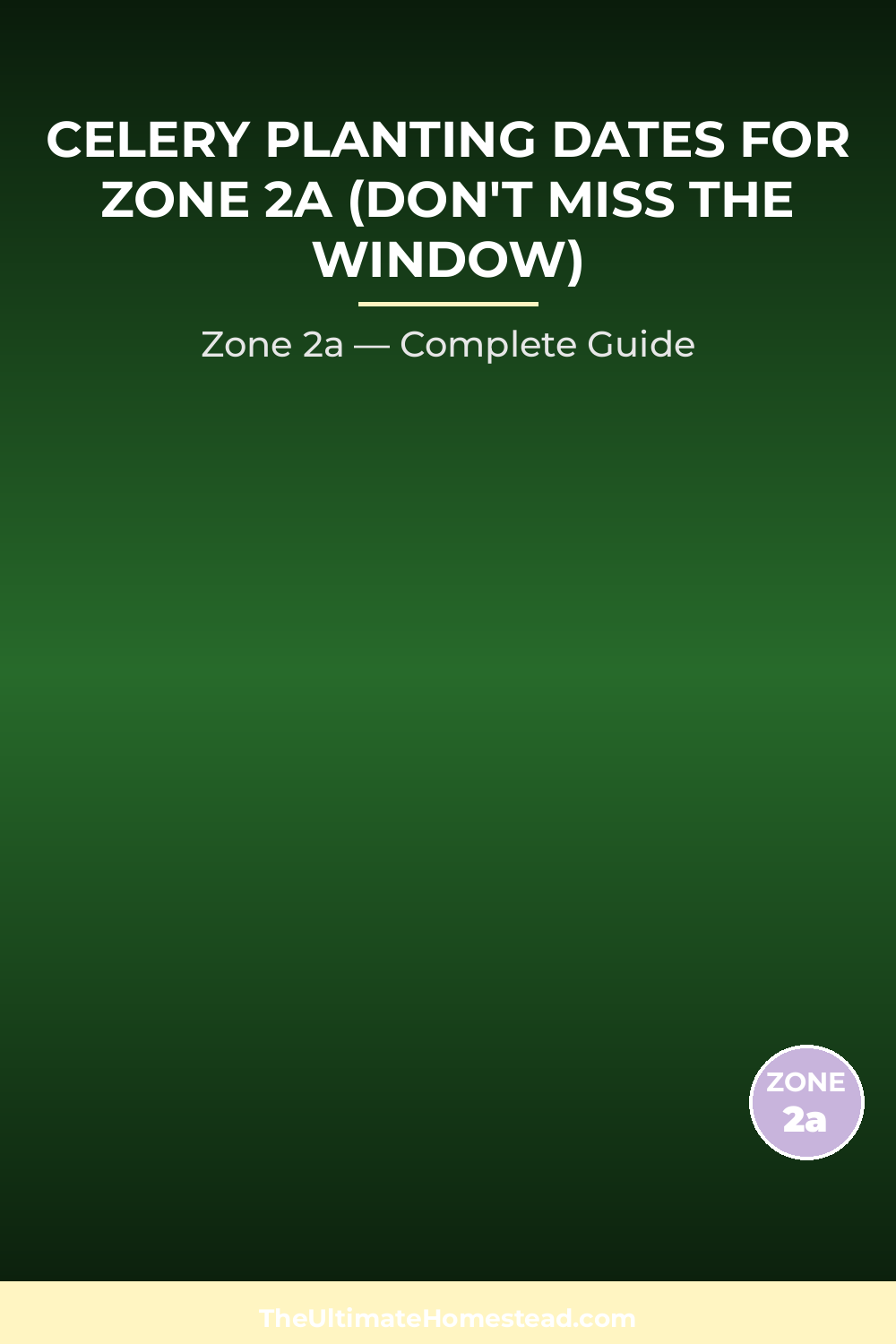 When to Plant Celery in Zone 2a