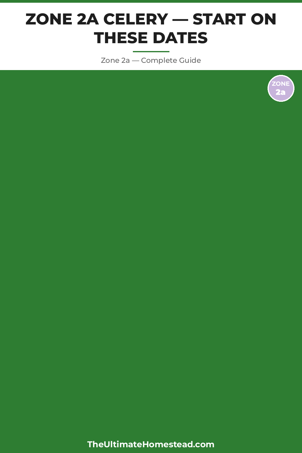 When to Plant Celery in Zone 2a