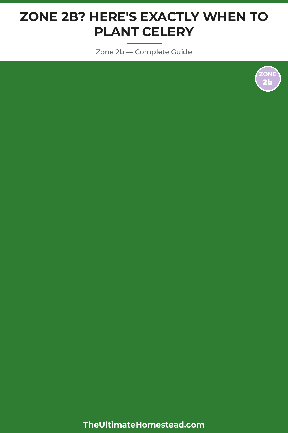 When to Plant Celery in Zone 2b