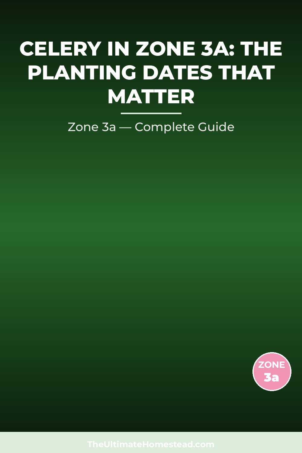 When to Plant Celery in Zone 3a