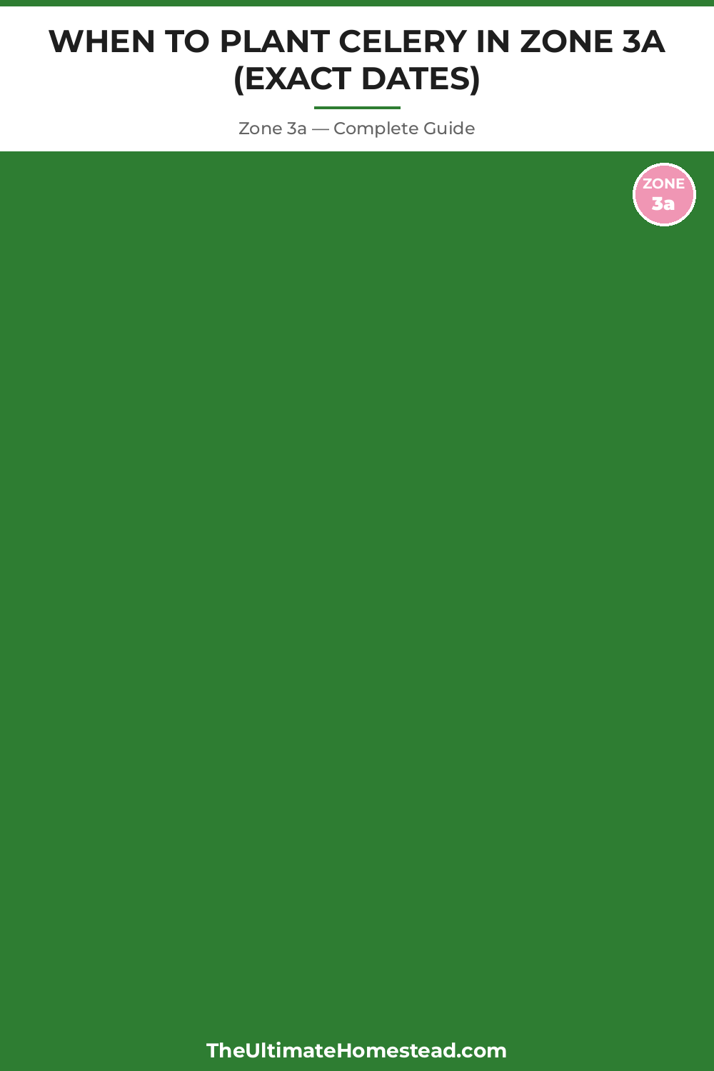 When to Plant Celery in Zone 3a