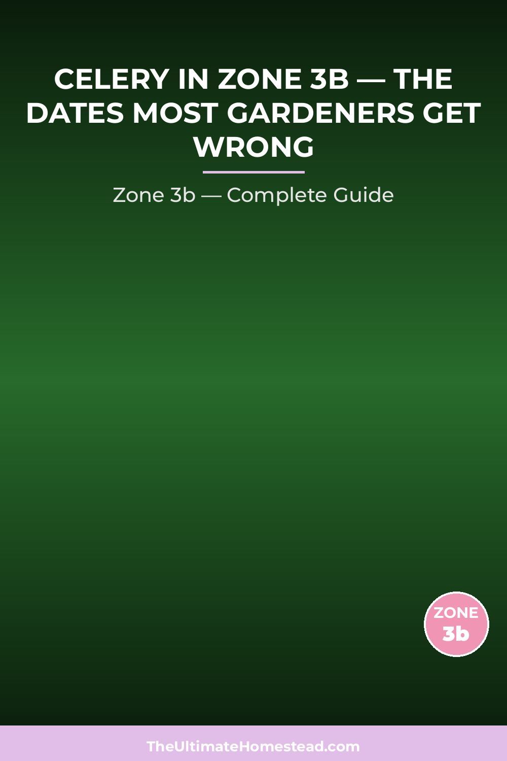 When to Plant Celery in Zone 3b