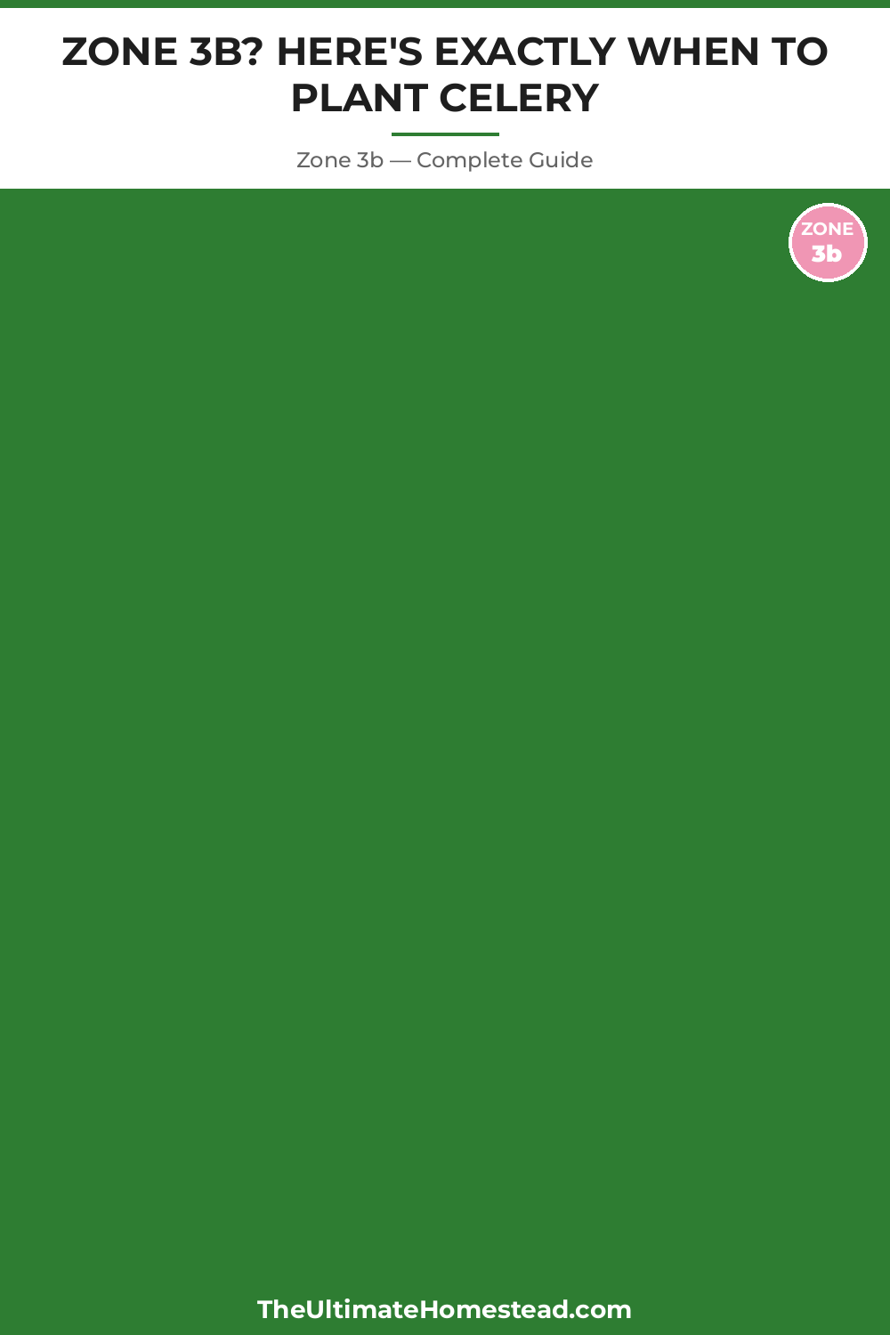 When to Plant Celery in Zone 3b