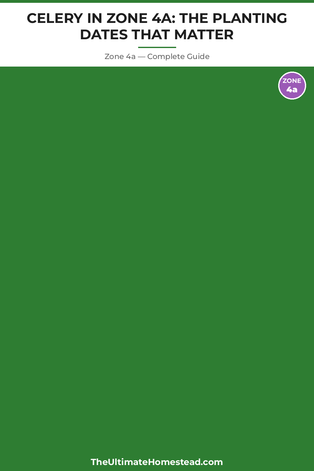 When to Plant Celery in Zone 4a