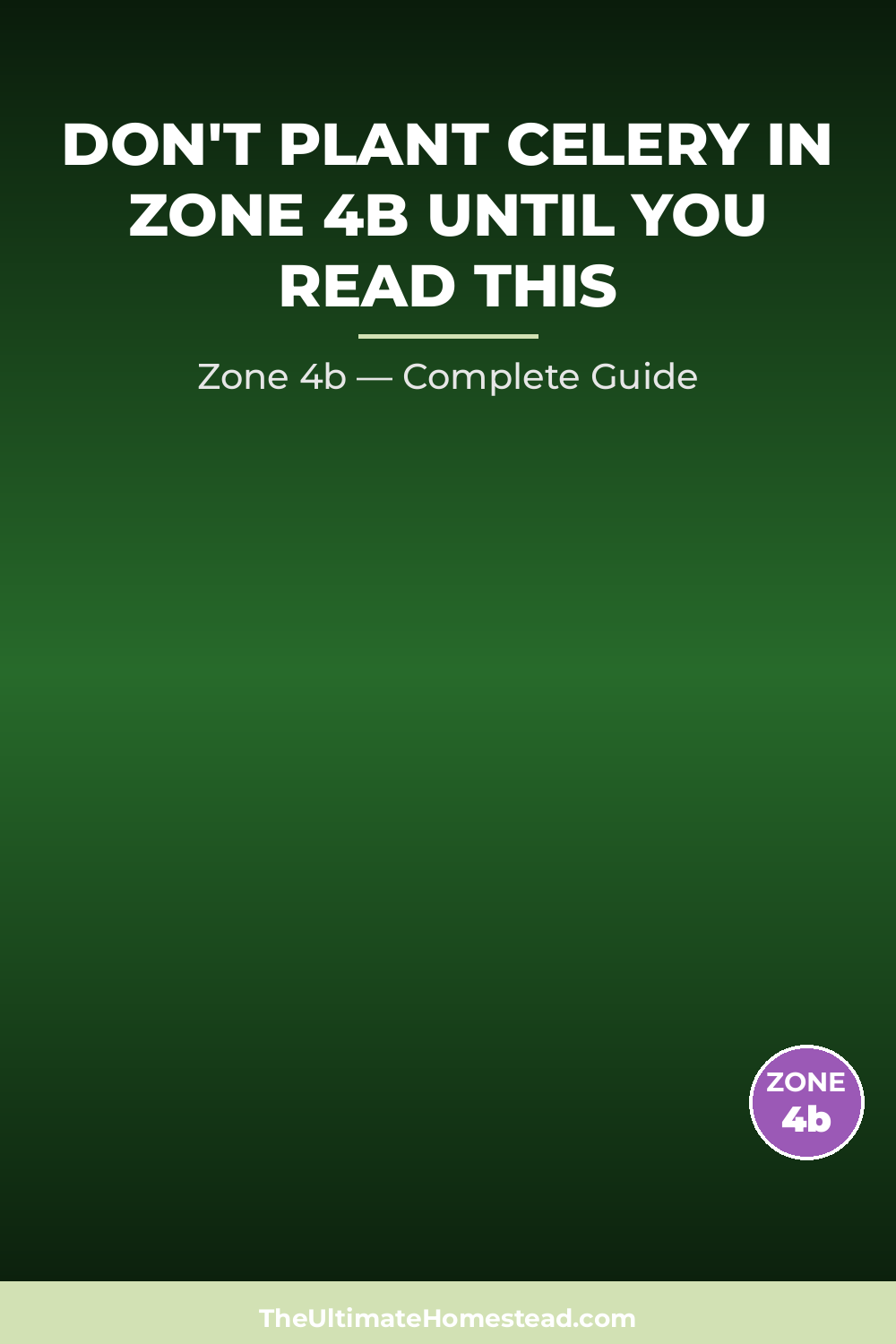 When to Plant Celery in Zone 4b