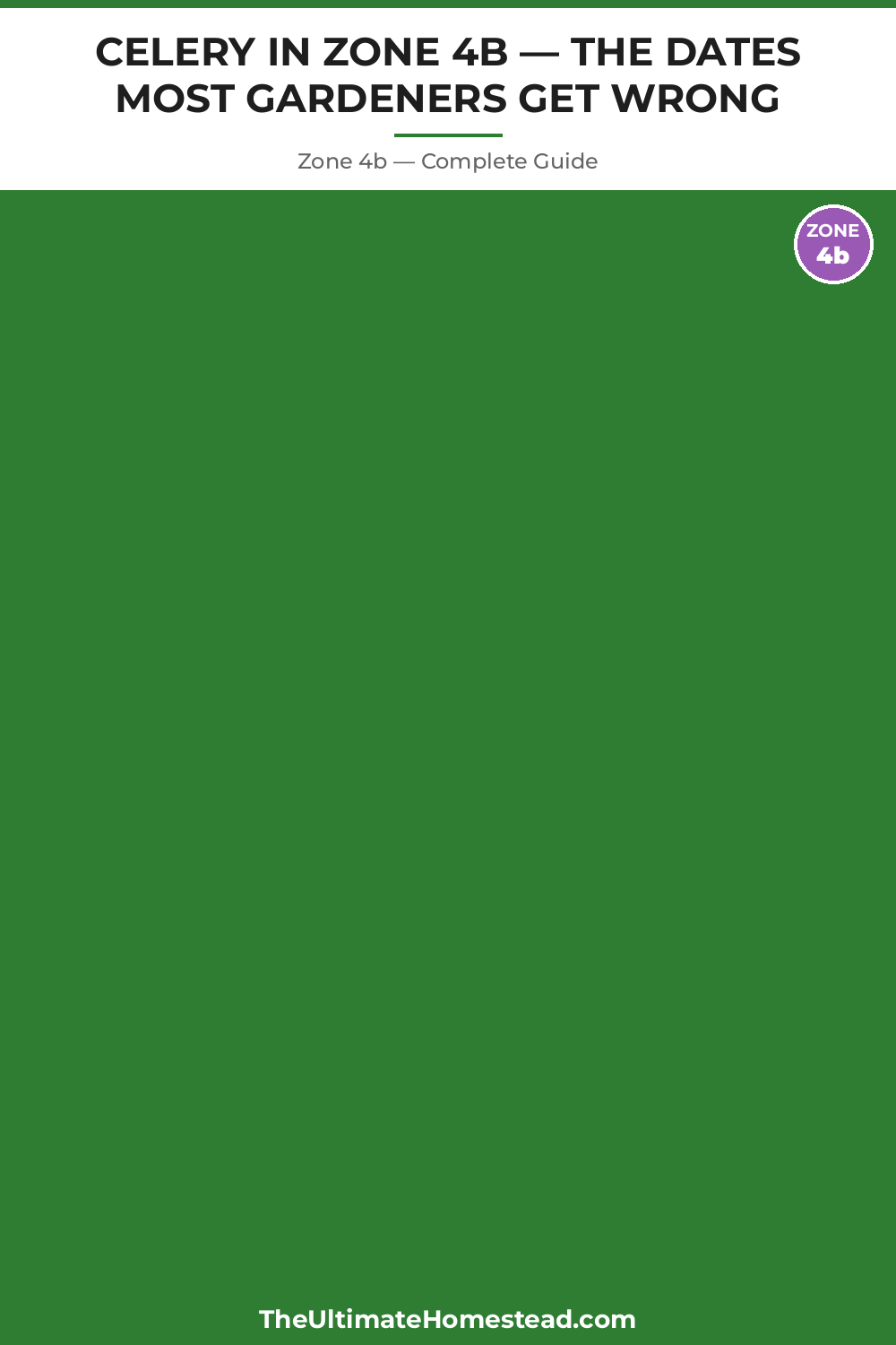 When to Plant Celery in Zone 4b