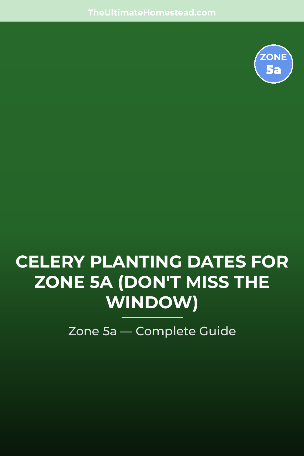 When to Plant Celery in Zone 5a