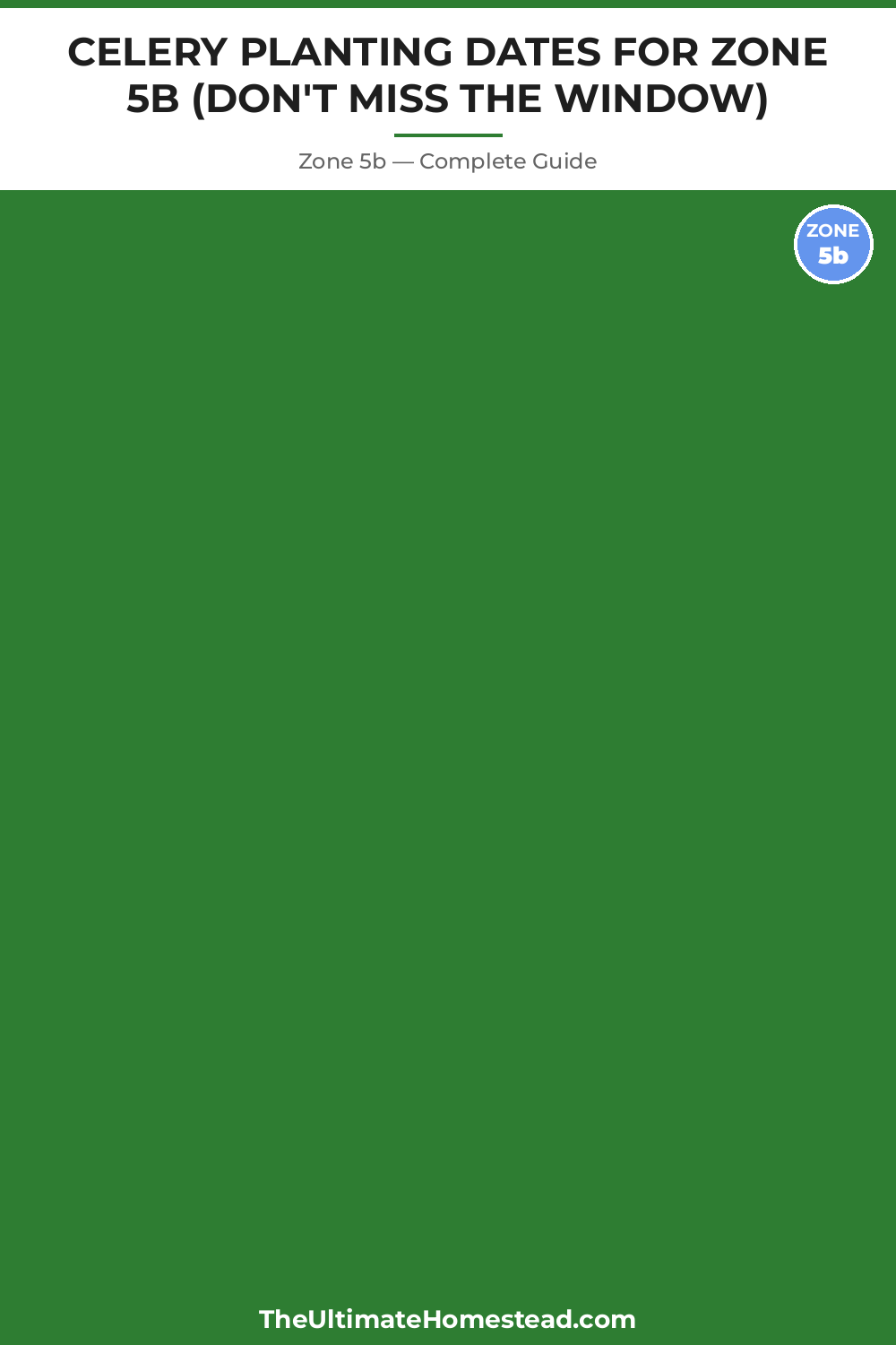 When to Plant Celery in Zone 5b