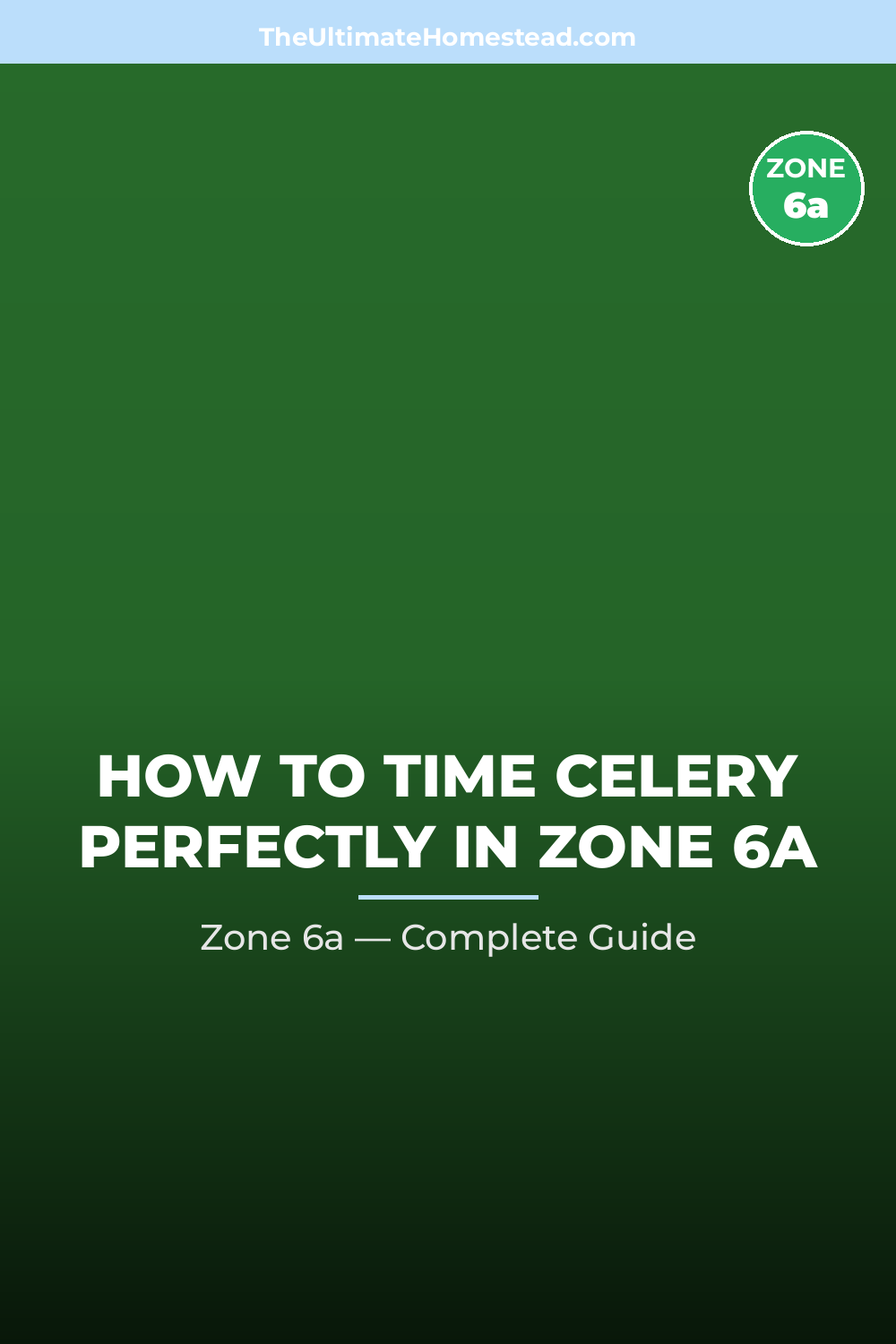 When to Plant Celery in Zone 6a