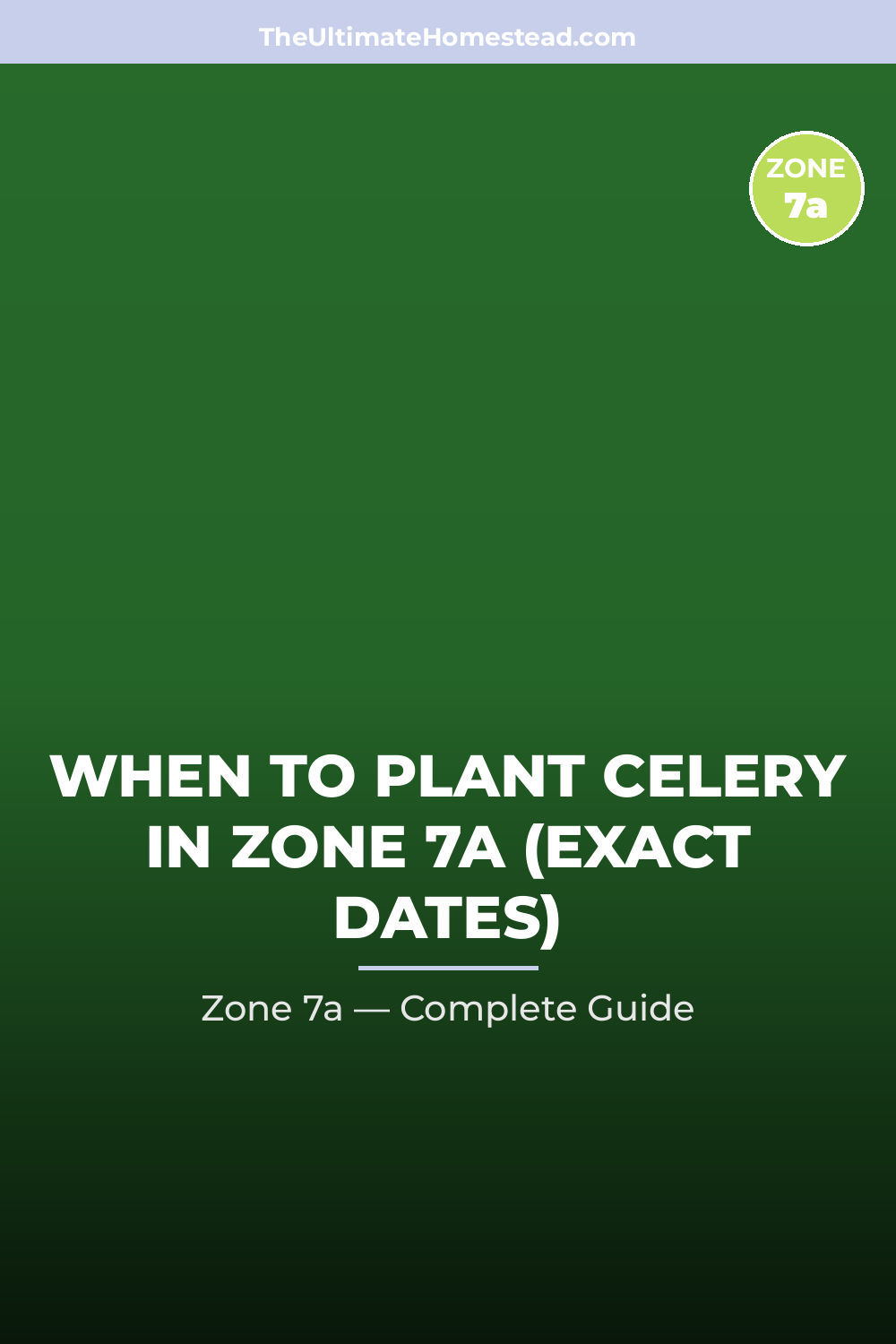 When to Plant Celery in Zone 7a