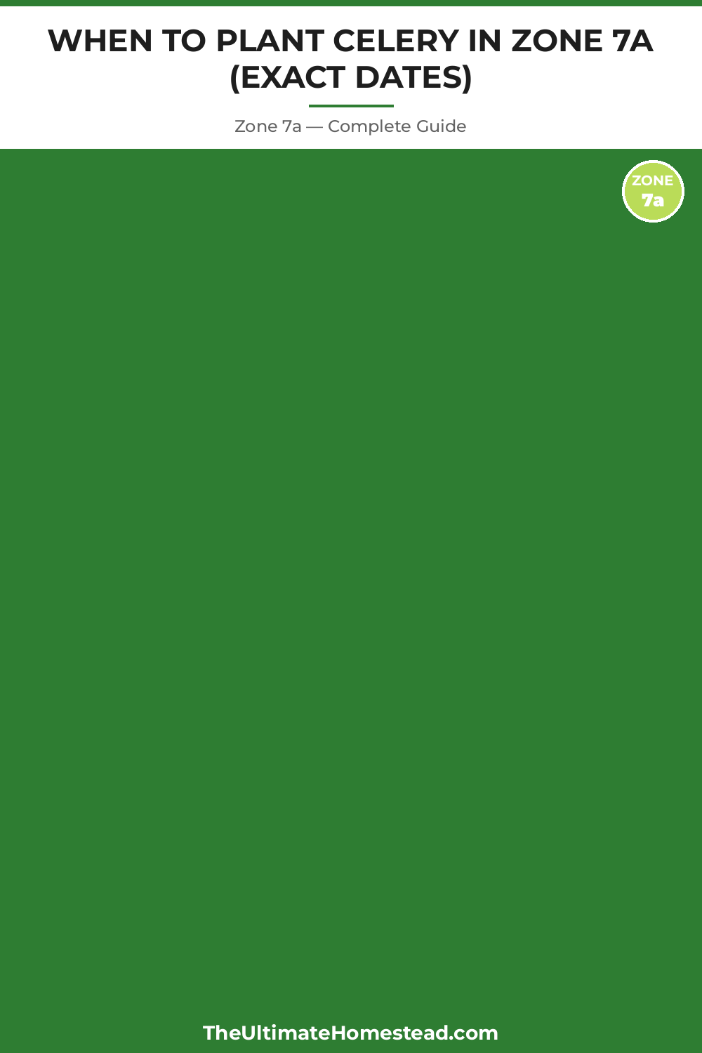 When to Plant Celery in Zone 7a