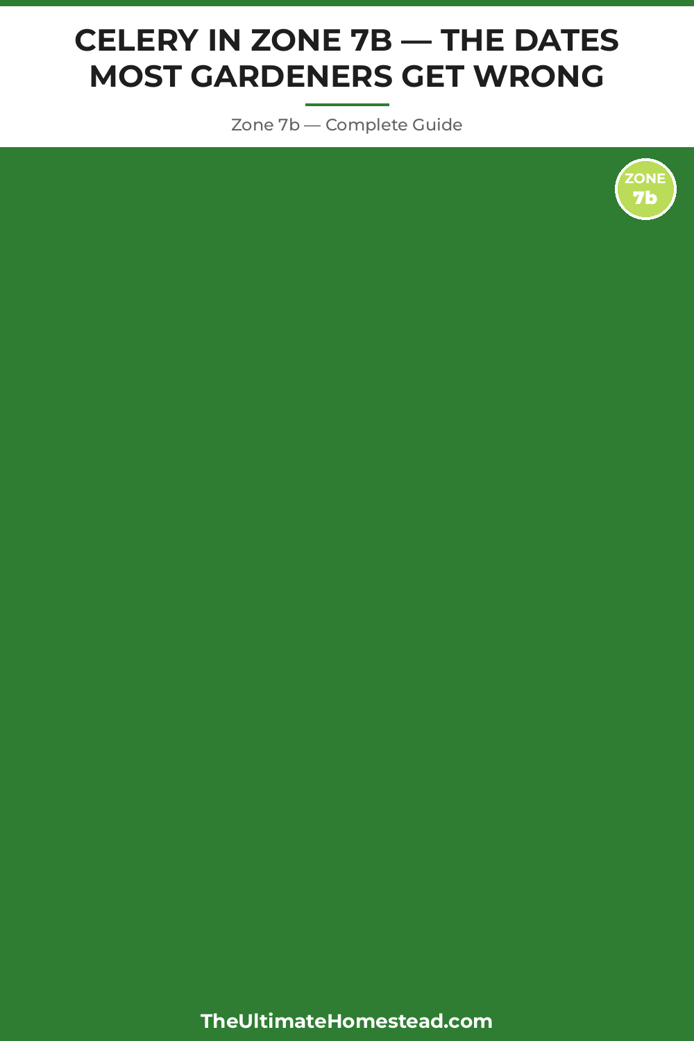 When to Plant Celery in Zone 7b