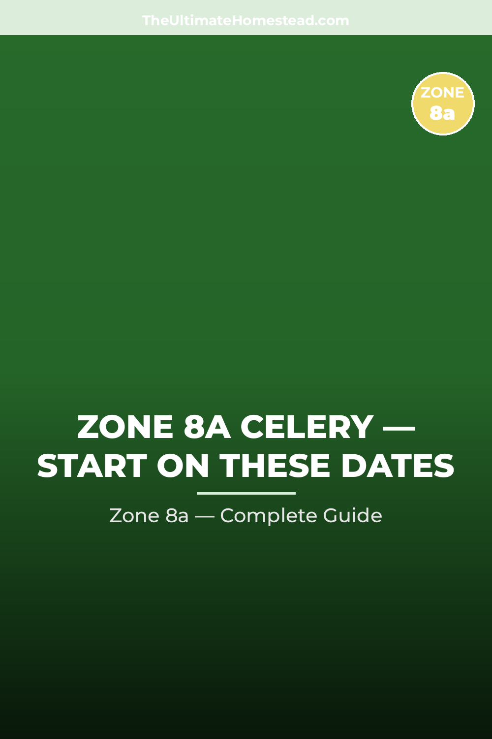 When to Plant Celery in Zone 8a
