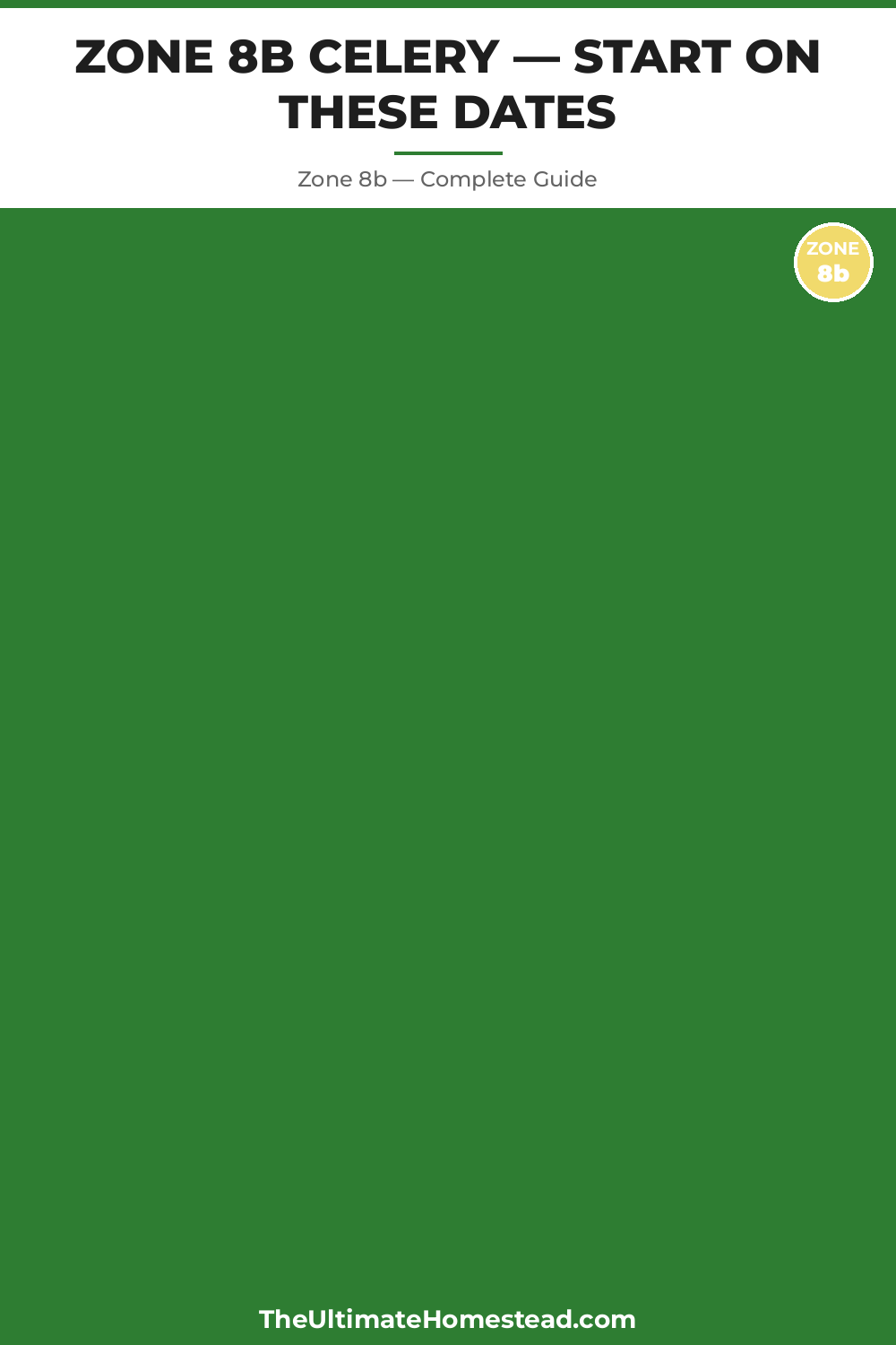 When to Plant Celery in Zone 8b