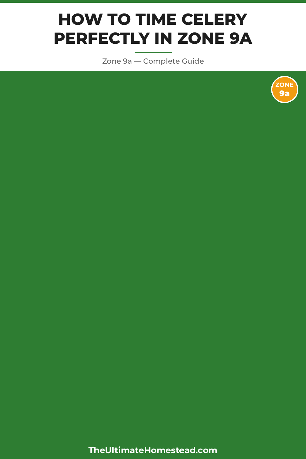 When to Plant Celery in Zone 9a