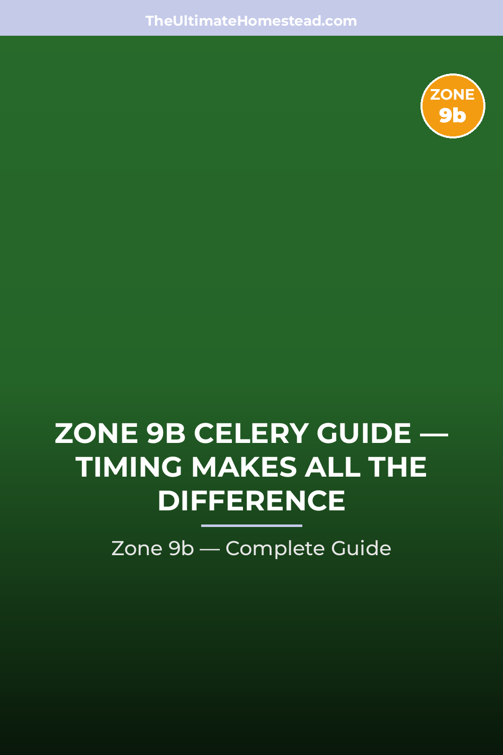 When to Plant Celery in Zone 9b