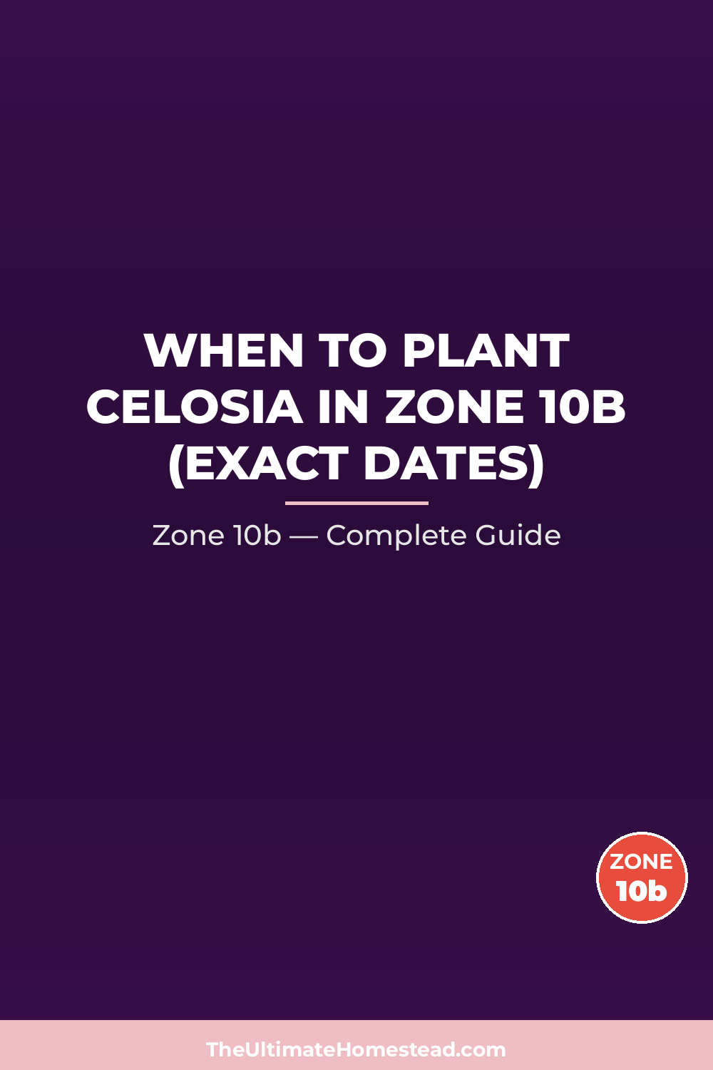 When to Plant Celosia in Zone 10b