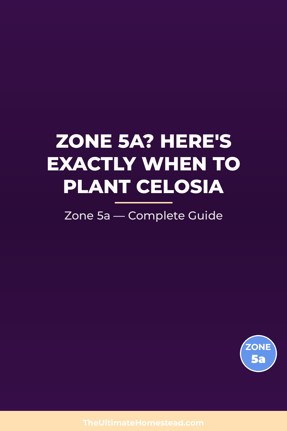 When to Plant Celosia in Zone 5a
