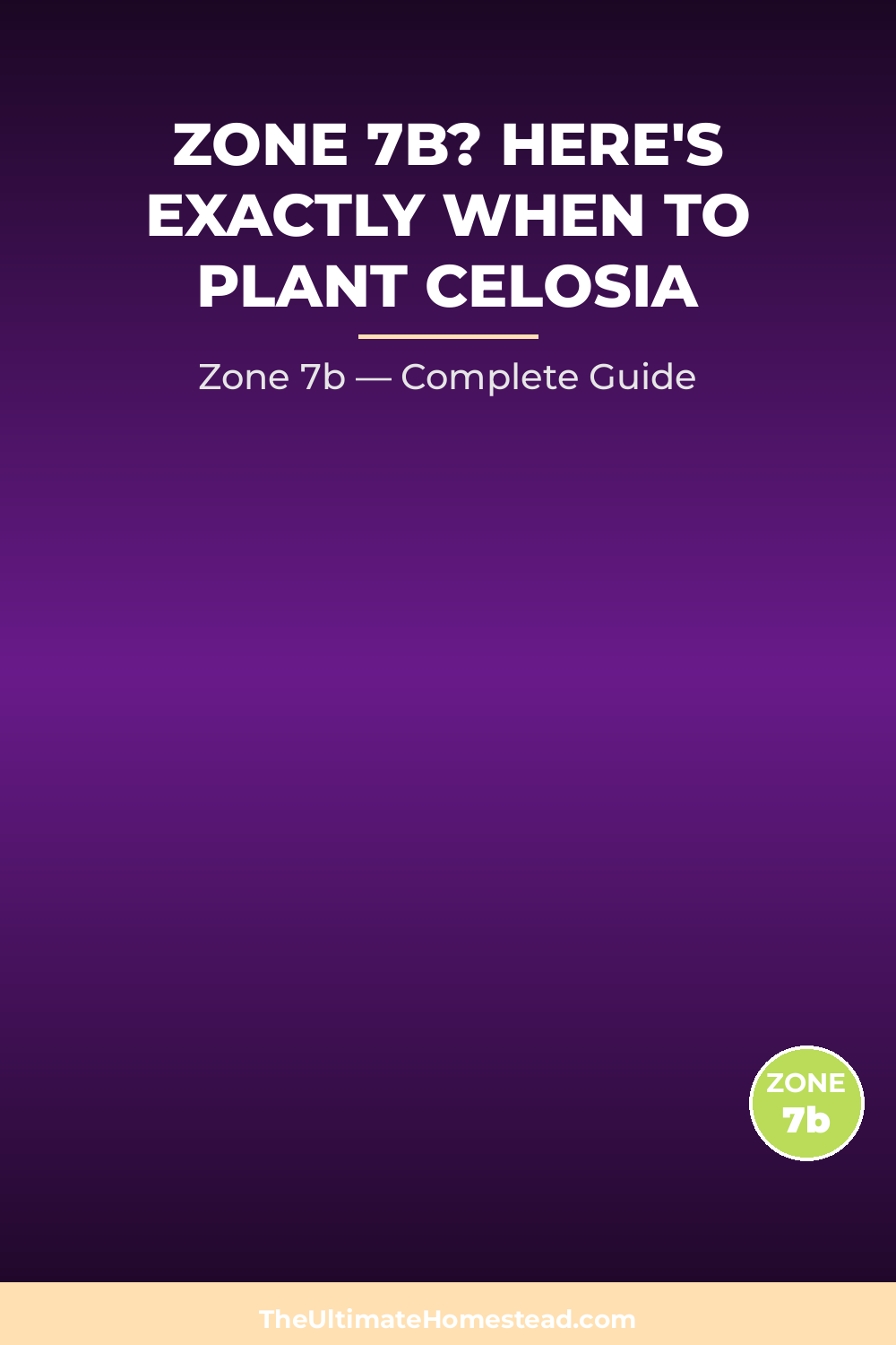 When to Plant Celosia in Zone 7b