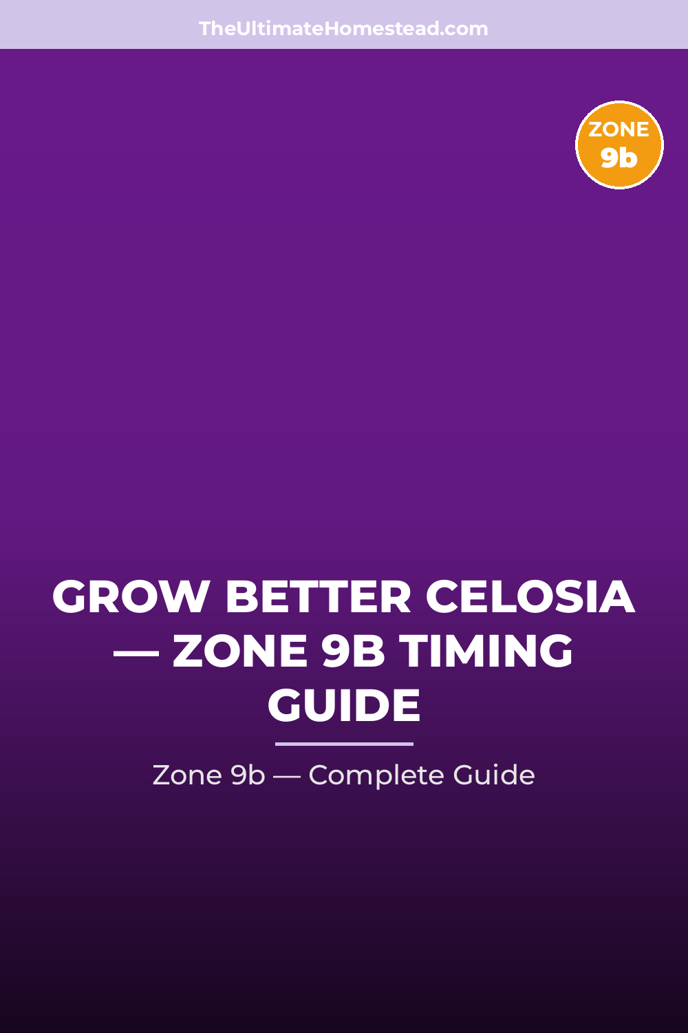 When to Plant Celosia in Zone 9b