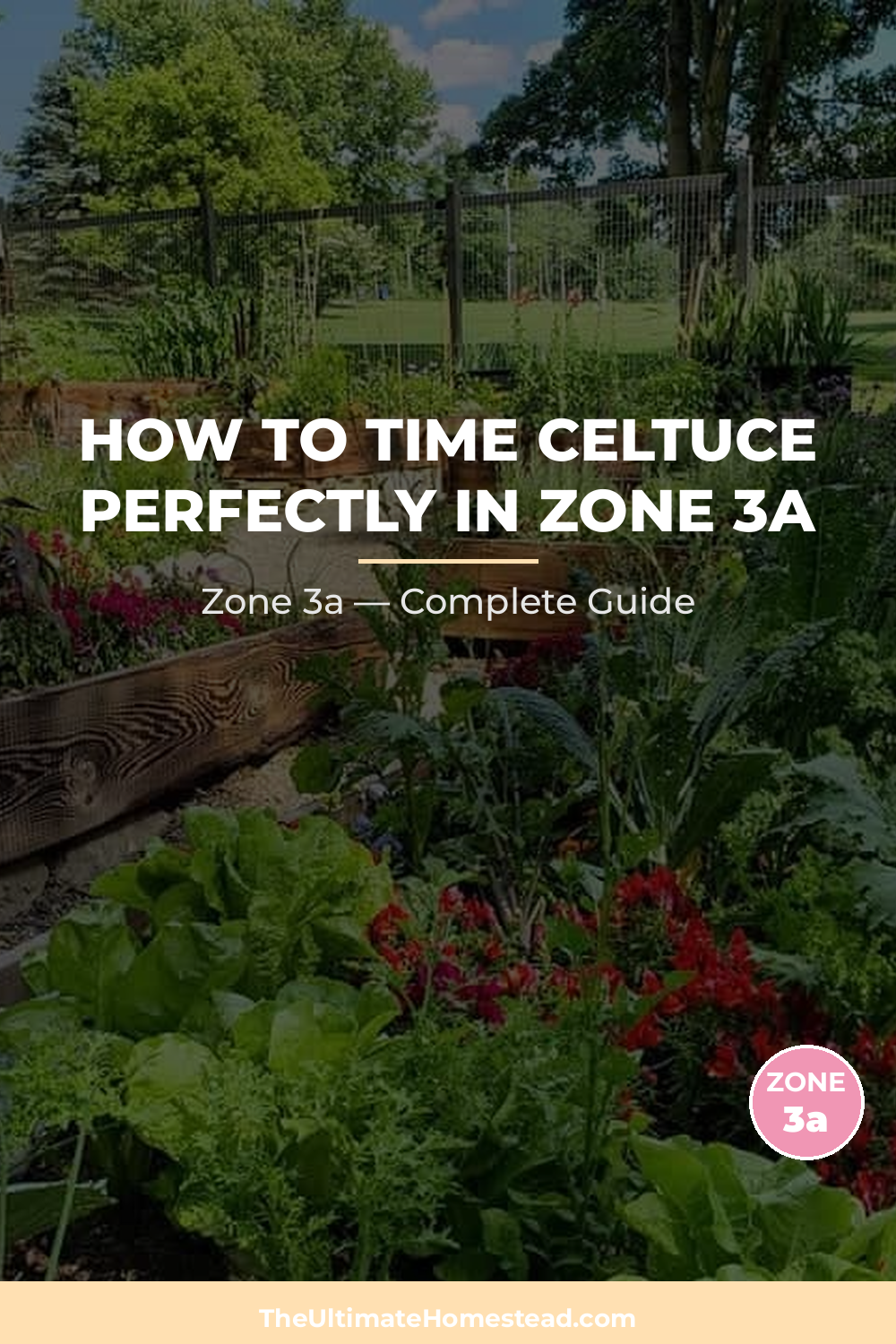 When to Plant Celtuce in Zone 3a