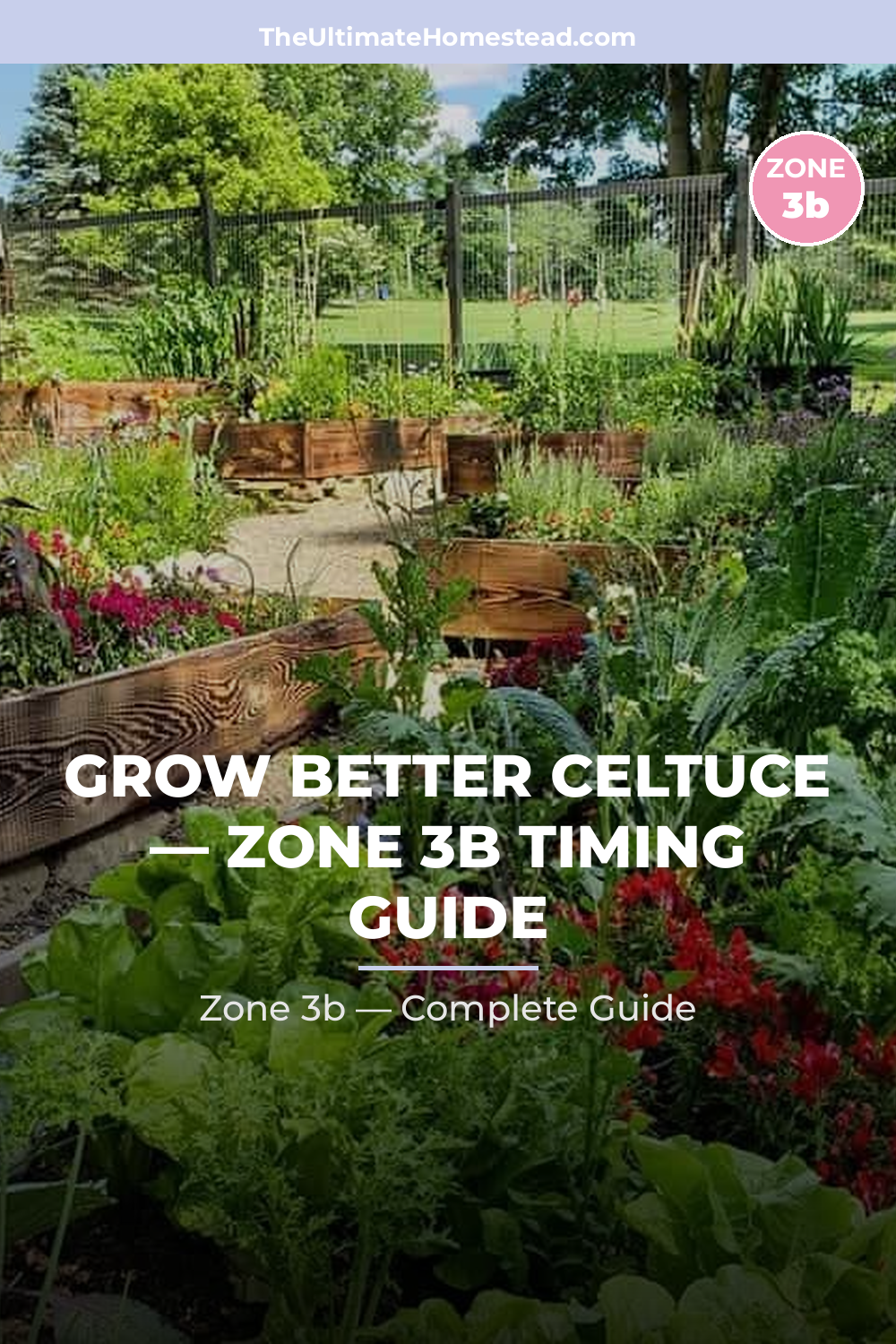 When to Plant Celtuce in Zone 3b