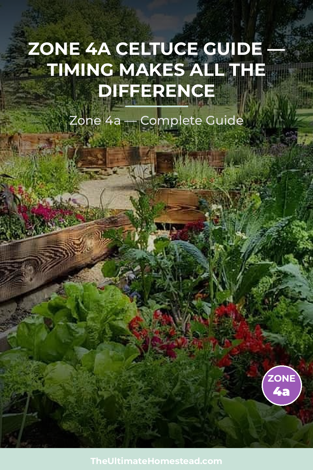 When to Plant Celtuce in Zone 4a