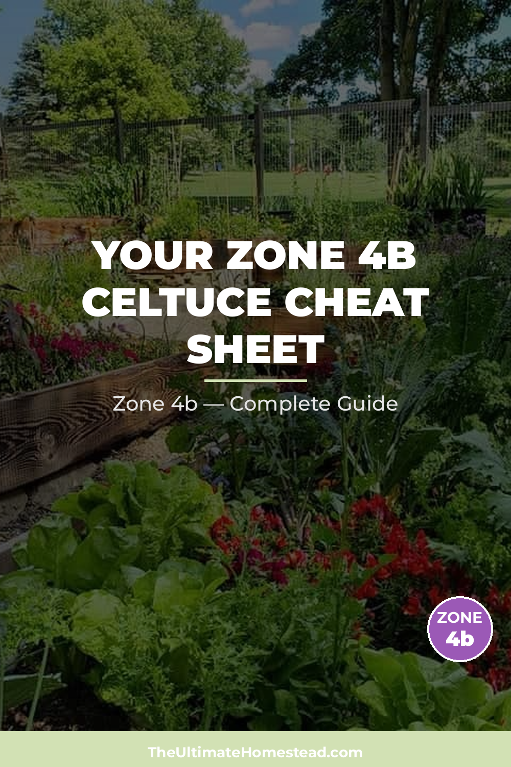 When to Plant Celtuce in Zone 4b