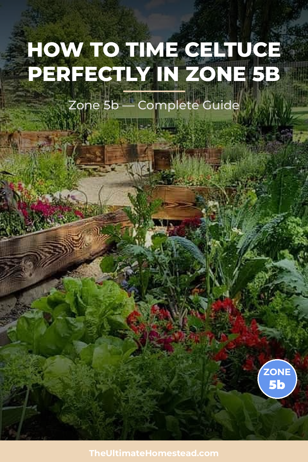 When to Plant Celtuce in Zone 5b